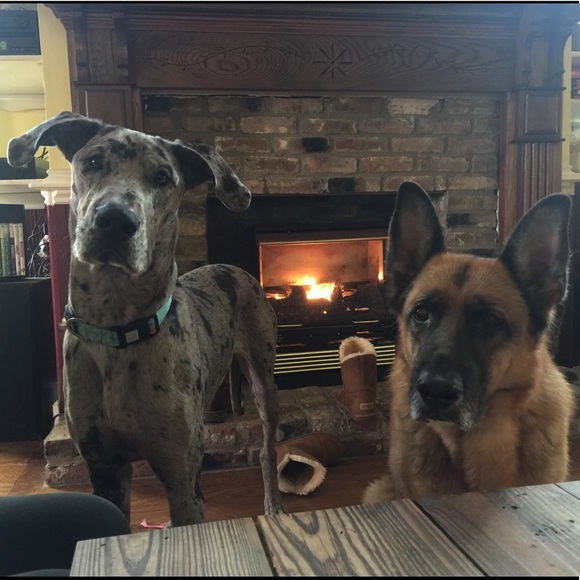 Meet your Posher, Jessica - Picture 3 of 7